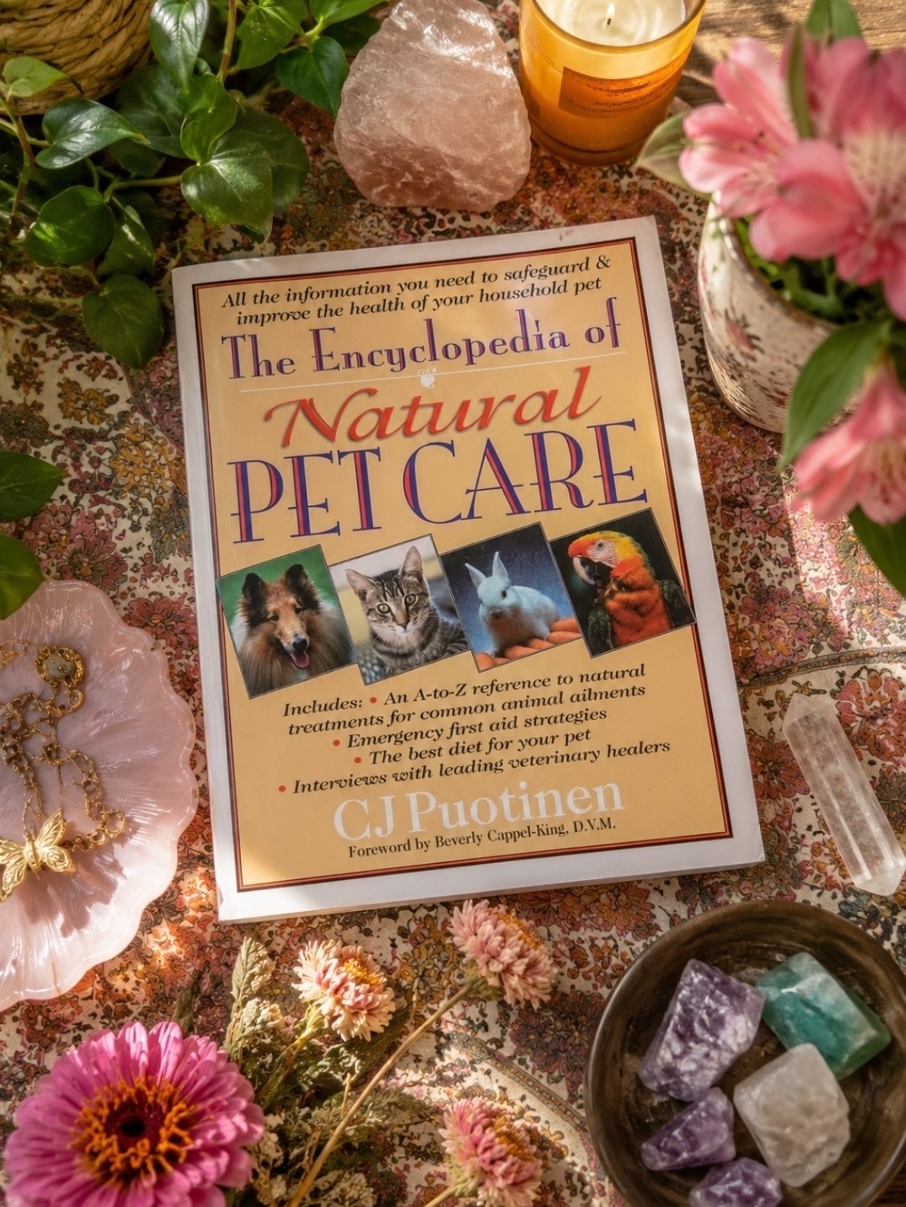 The Encyclopedia of Natural Pet Care - Natural Healing And Training For Pets